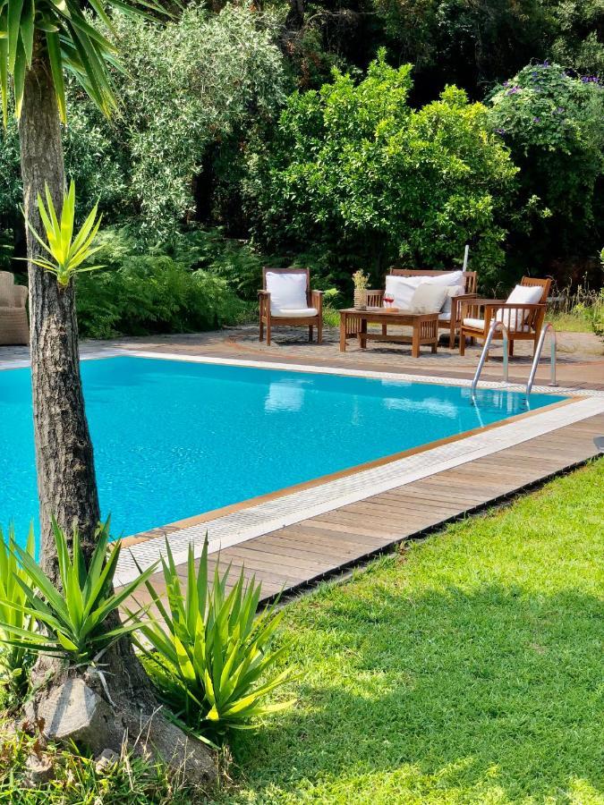 Gialos Villas 1-2 With A Private Pool Mikros Gialos Eksteriør bilde
